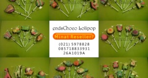 Jual Lolipop Coklat end’sChoco Murah di Jakarta